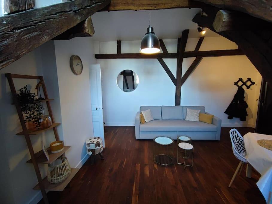 Magnifique Appartement Beaux Arts Tours Eksteriør billede
