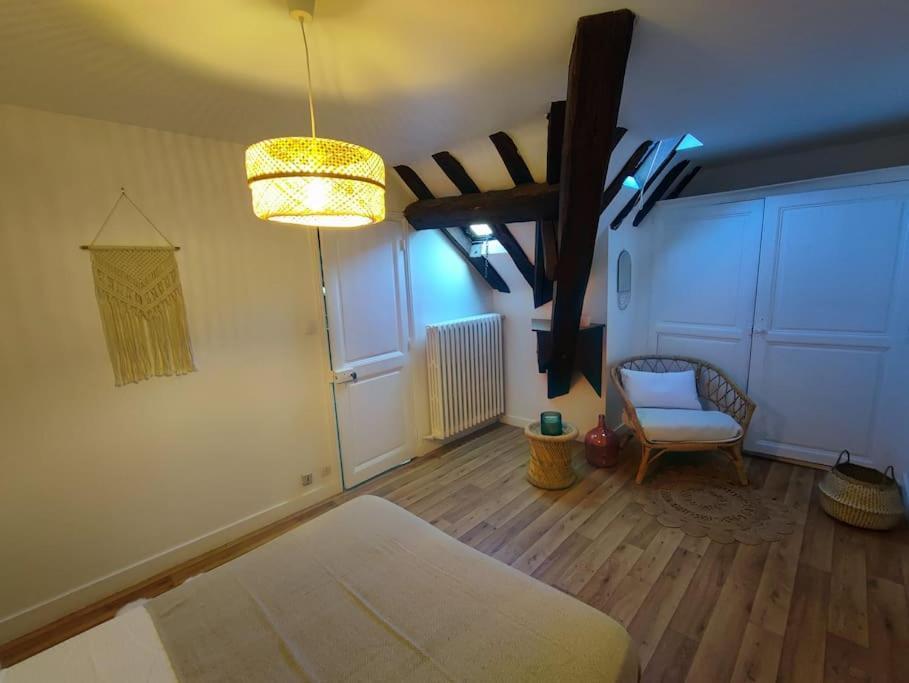 Magnifique Appartement Beaux Arts Tours Eksteriør billede