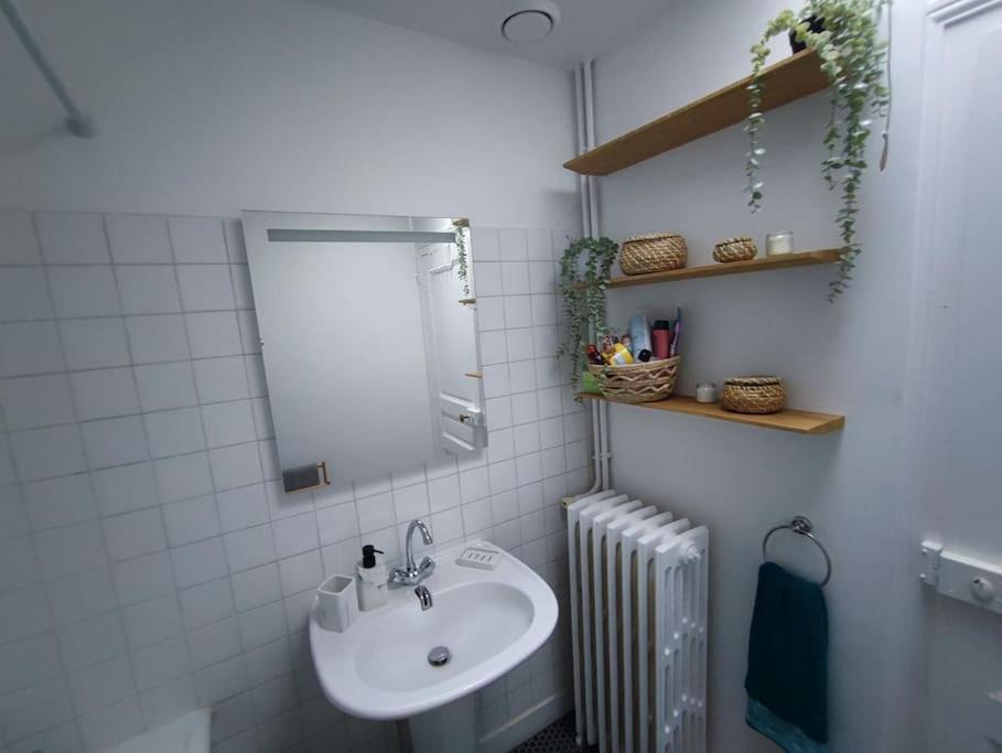Magnifique Appartement Beaux Arts Tours Eksteriør billede