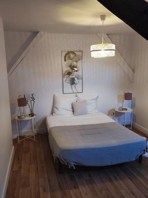 Magnifique Appartement Beaux Arts Tours Eksteriør billede