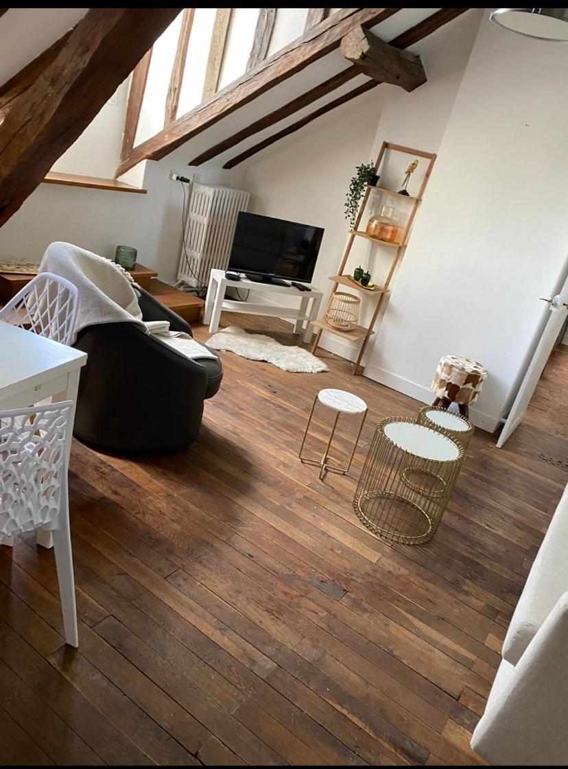 Magnifique Appartement Beaux Arts Tours Eksteriør billede